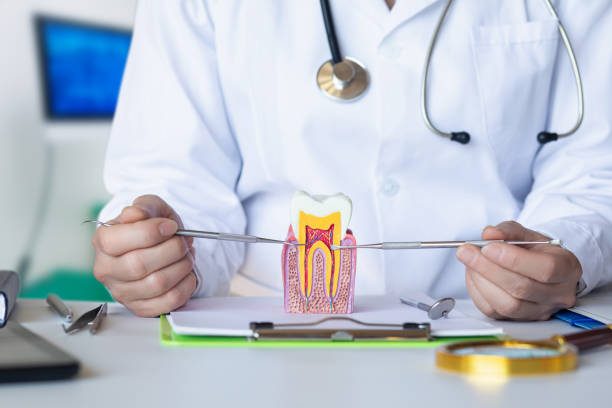 Best Urgent Dental Care in Rio Vista, TX
